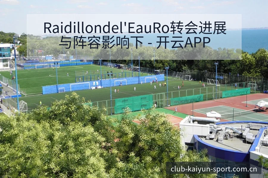 Raidillondel'EauRo转会进展与阵容影响下 - 开云APP